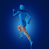 3D blue medical figure running