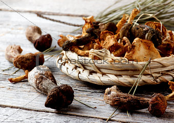 Arrangement of Dried Mushrooms
