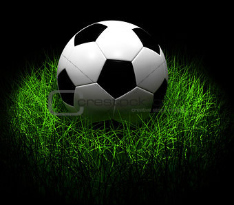 Soccer Ball on Grass. 3D illustration.