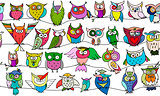 Funny owls, seamless pattern for your design