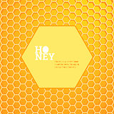 Honeycombs bright background