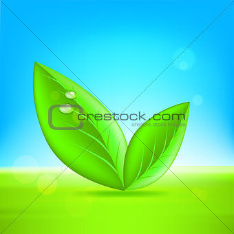 Green leaves. Vector 10 eps