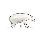 Polar bear, sketch fro your design