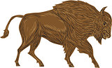 North American Bison Buffalo Charging Retro