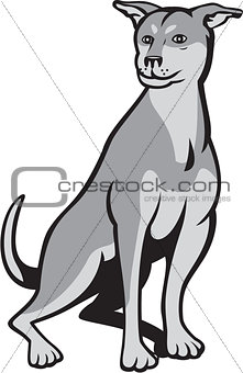 Husky Shar Pei Cross Dog Sitting Cartoon