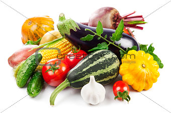 Fresh vegetables autumnal harvest with green leaves,