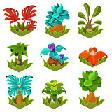 Garden Plants with Flowers for Game