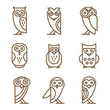 Set of Owl Logos and Emblems
