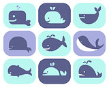 Collection of Whale Icons