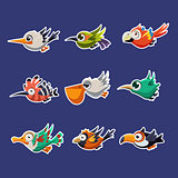 Colourful Flying Birds in Profile Vector Illustration Set
