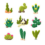 Cactus and Skull Icons, Vector Illustration Set