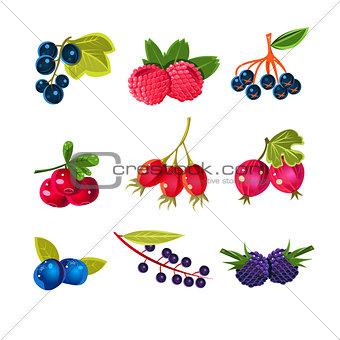 Juicy Colorful Berry Vector Set