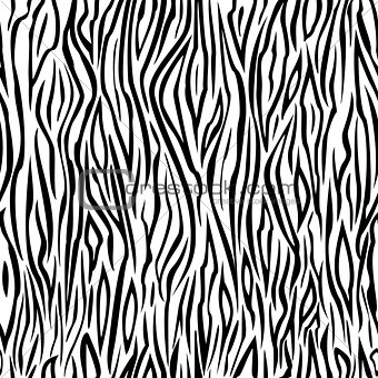 Seamless zebra color pattern