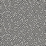 Vector Seamless Black and White Organic Lines Pattern