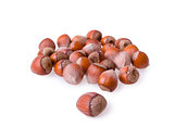 fresh hazelnuts