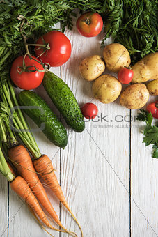freshly grown raw vegetables
