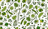 Tropical plants, seamless pattern