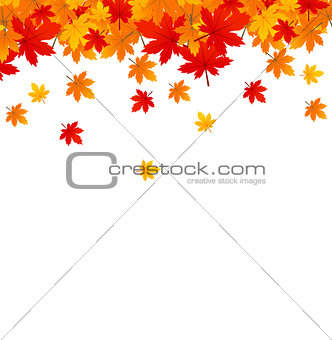 Background with maple autumn leaves