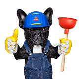 plumber dog with plunger