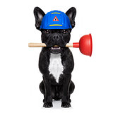 plumber dog with plunger