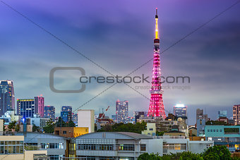 Tokyo Tower and Cityscape