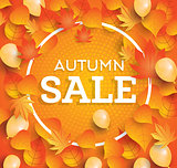 Autumn sale background with falling leaves and balloons.