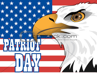 Patriot day card with the flag of unites states of america and big eagle bird