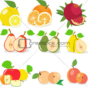 Set of fruits, lemon, apple, orange, pomegranate, pear, apricot, peach, vector illustration.