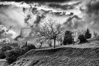 Winter BW photo of cloudy dramatic sky with trees