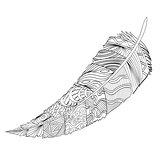 Decorative feather. Zentangle