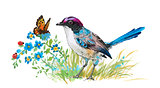 Watercolor colorful Bird and butterfly with grass and flowers.
