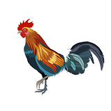 Vector image of color rooster in paper cut style.