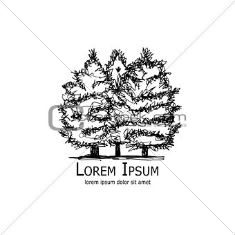 Pine trees, art sketch for your design