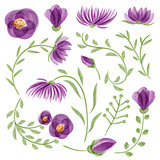 Watercolor vector floral set