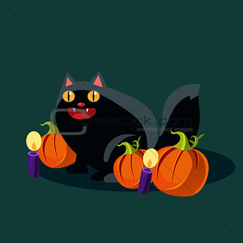 Halloween Black Cat and Pumpkins Vector Illustration