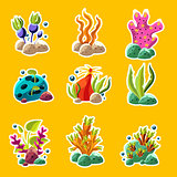 Cartoon underwater plants and creatures