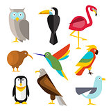 Set of Wild Arctic, Forest and Tropical Birds in Flat Style