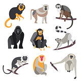 Set of Apes and Monkeys. Vector Illustration