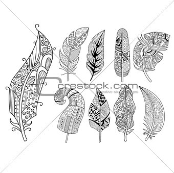 Ornamental Feathers in Handdrawn Style. Vestor Illustration Set
