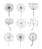 Black and White Dandelions Set Vector Illustration