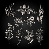 Fantasy Hand Drawn Berry, Flower and Plant Set. Vector Illustration.