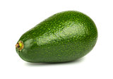 Single green avocado