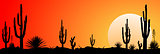 Mexico desert sunset  