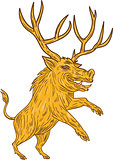 Wild Boar Razorback With Antlers Prancing Drawing