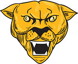 Angry Cougar Mountain Lion Head Drawing