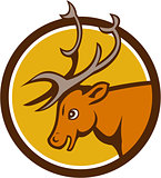 Stag Deer Buck Head Circle Cartoon