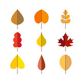 Vector autumn leaves red, orange yellow colors