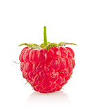 Ripe juicy organic raspberry macro