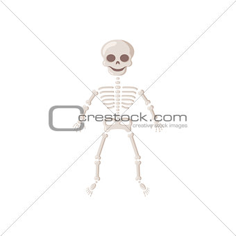 Spooky smiling skeleton.