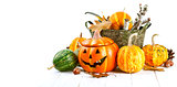 Halloween pumpkin autumn still life at holiday